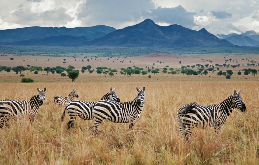 Kidepo National Park Uganda